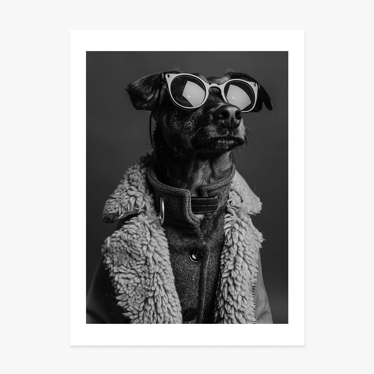 Poster „Dog“