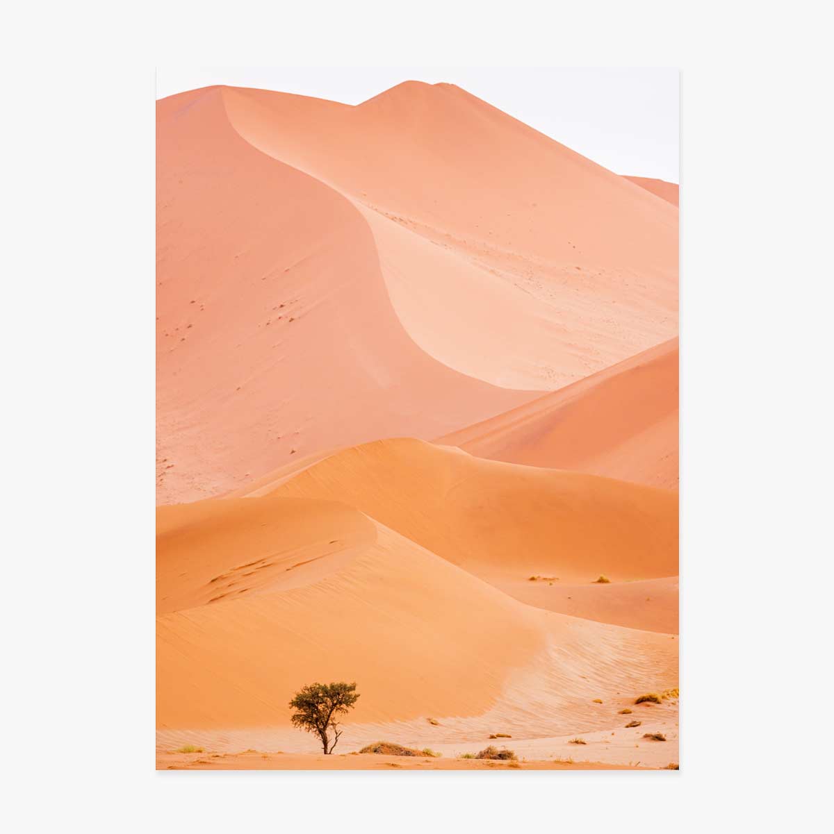 Poster „Dunes“