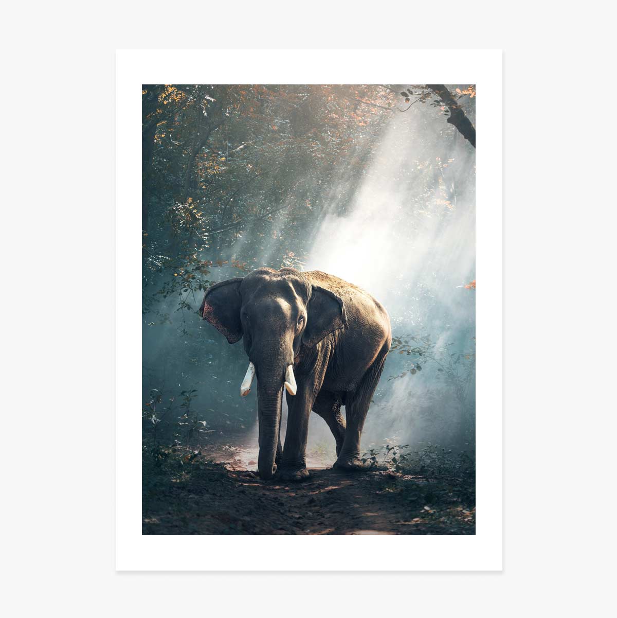 Elefanten-Poster