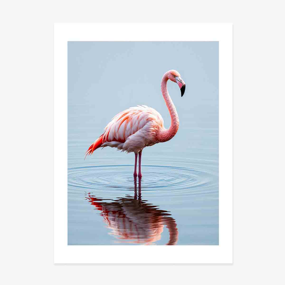 Flamingo-Poster