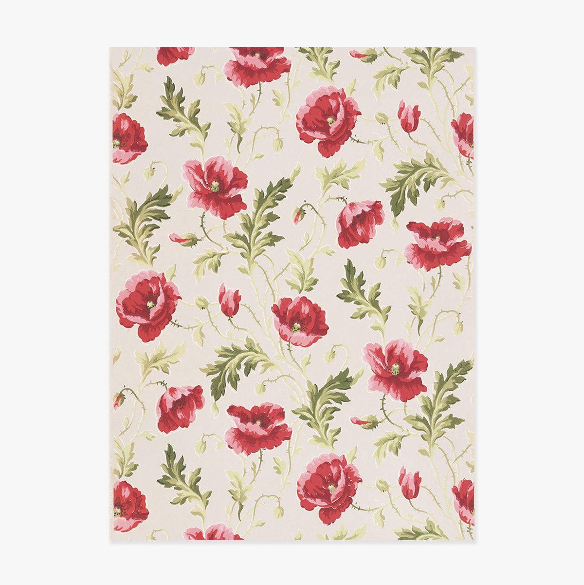 Poster „Rosa Blumen“