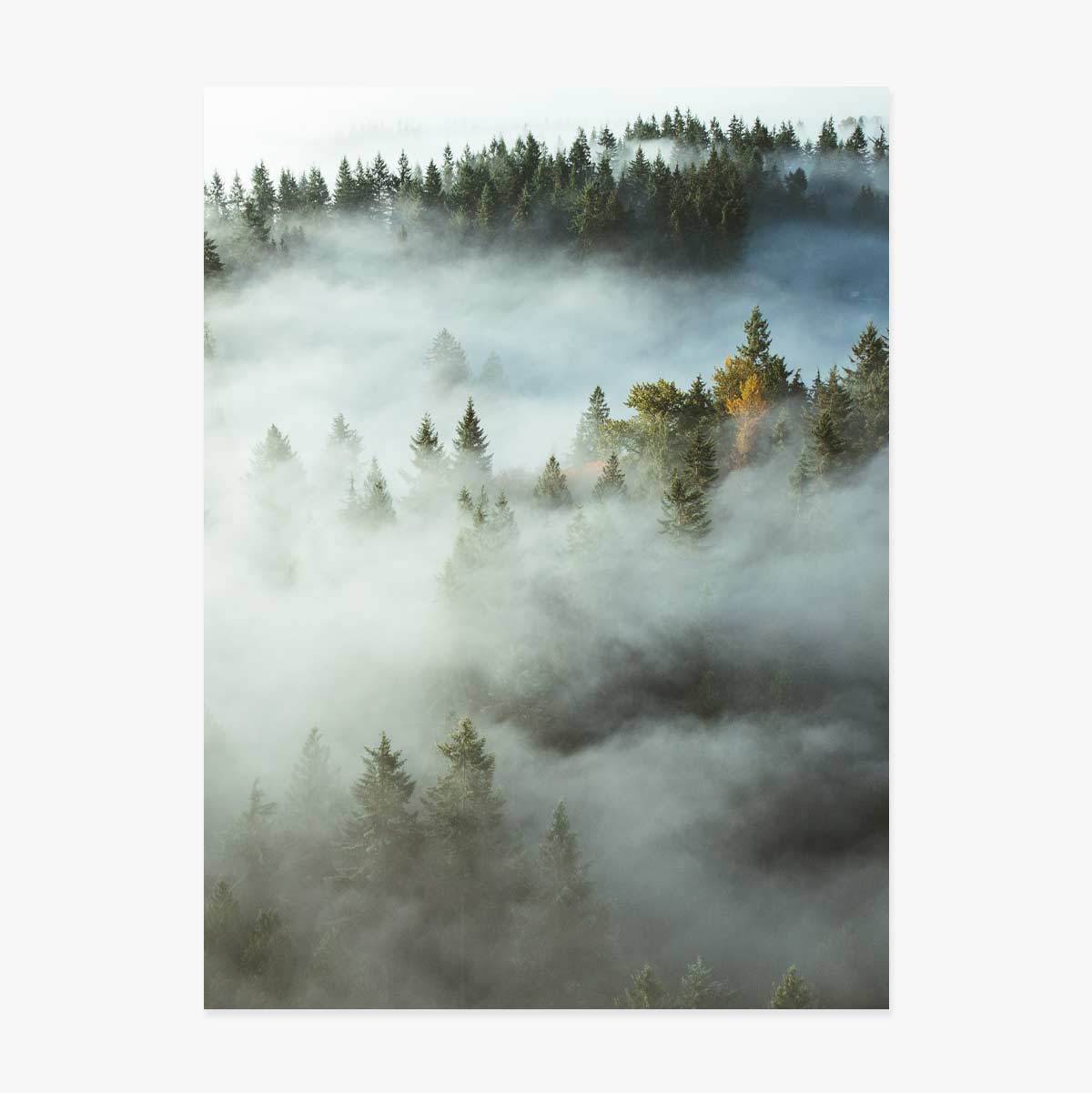 Poster „Wald im Nebel“
