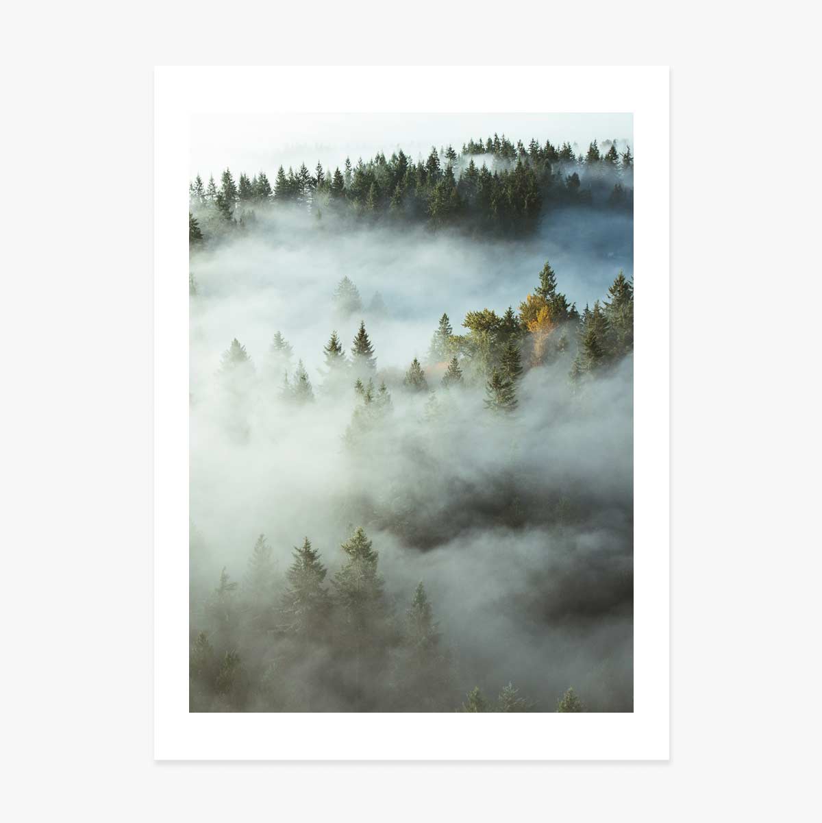 Poster „Wald im Nebel“