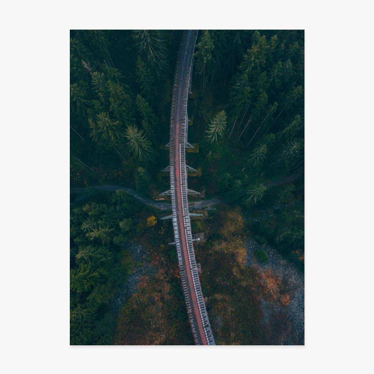 Poster „Forest“