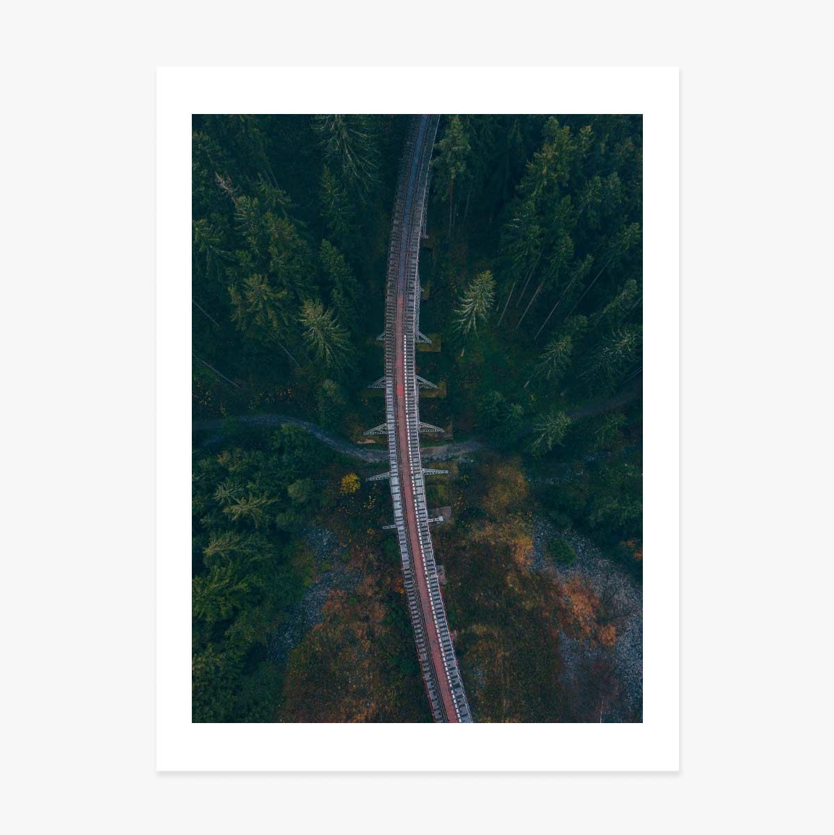 Poster „Forest“