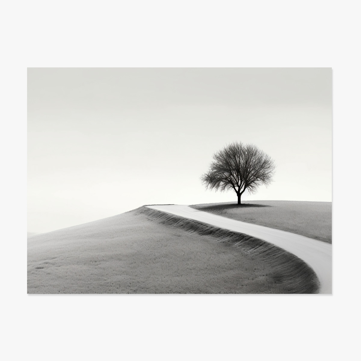 Poster im Querformat – Der einsame Baum