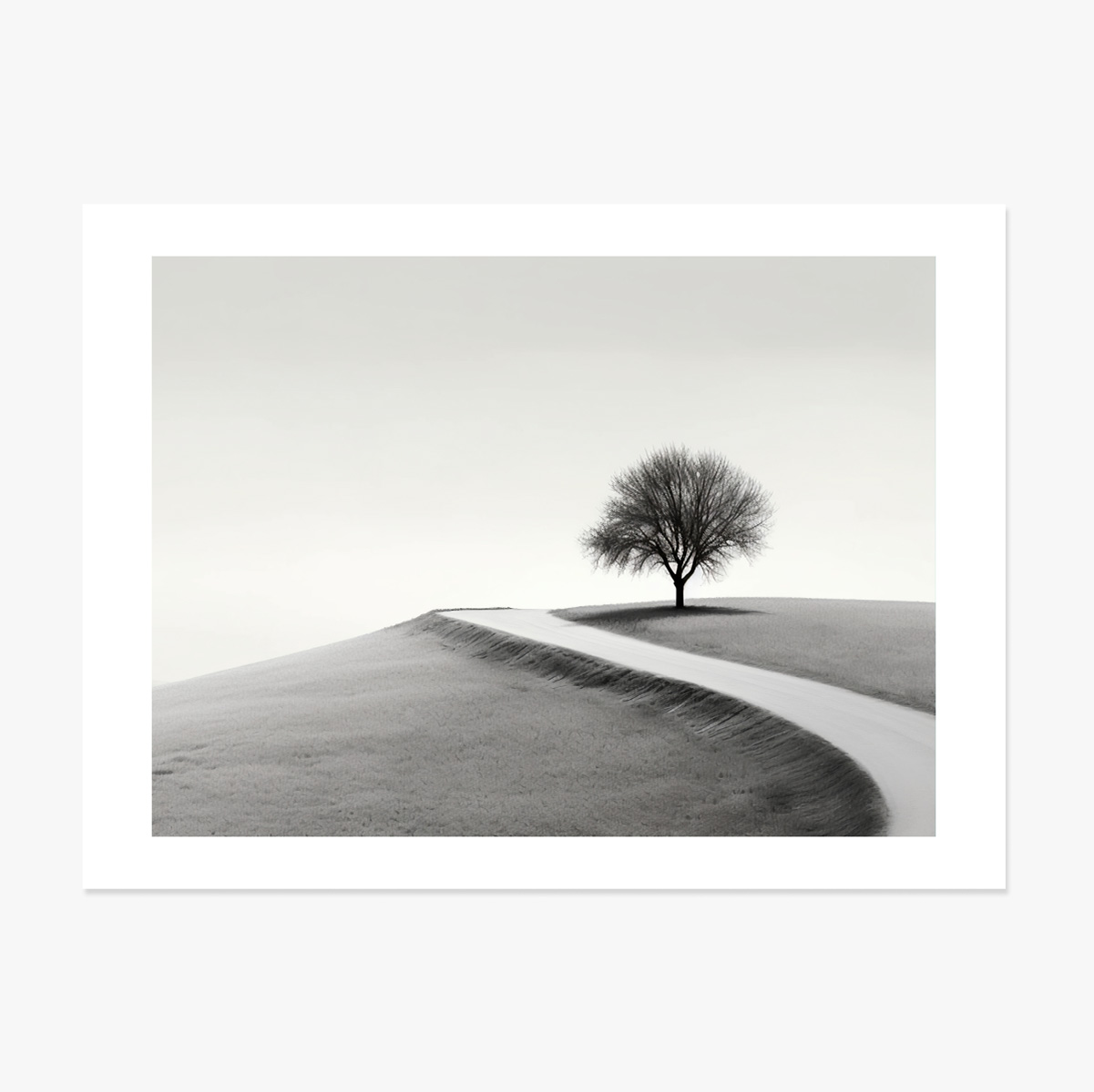 Poster im Querformat – Der einsame Baum