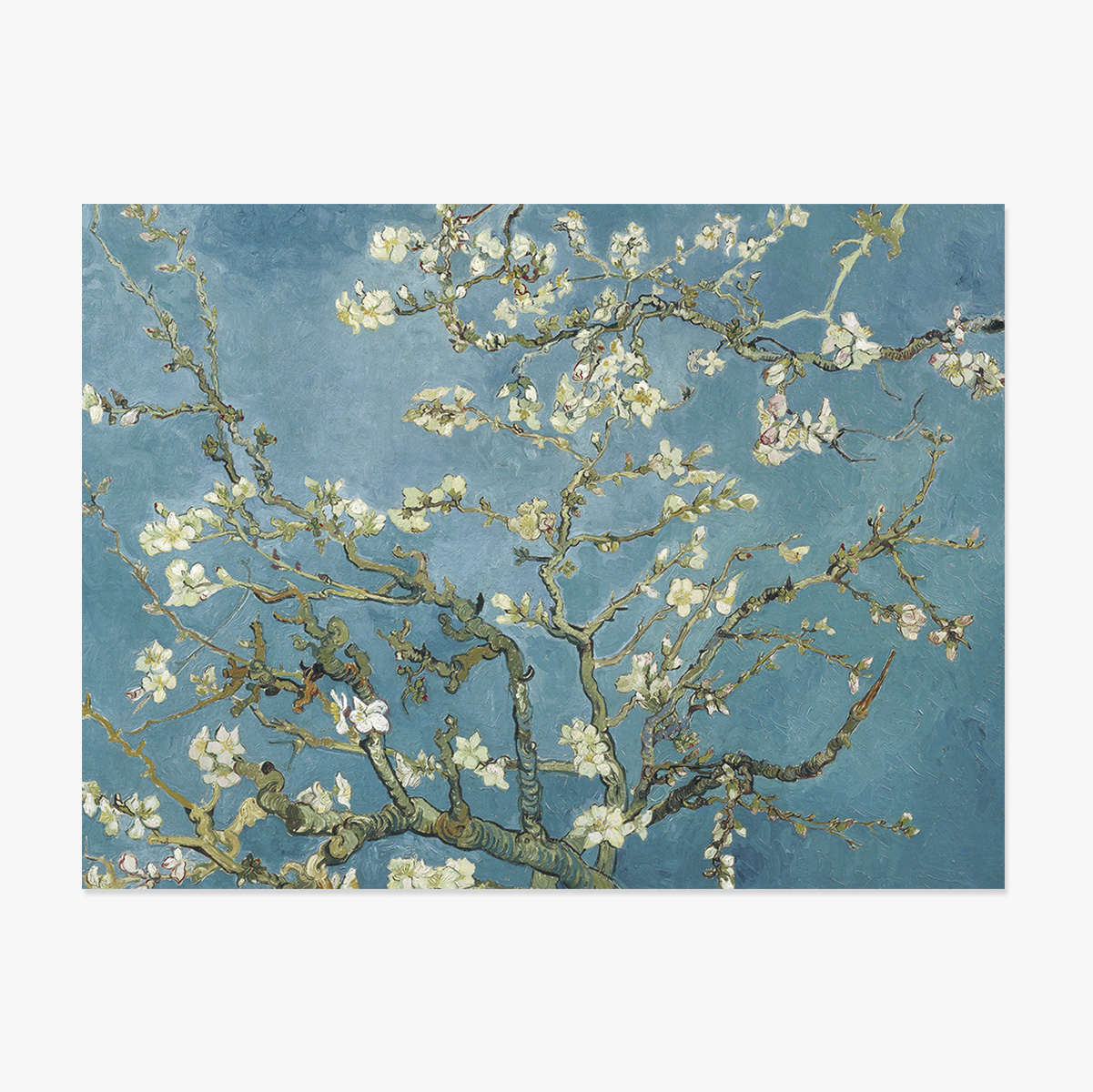 Poster im Querformat – Vincent van Gogh – Blühende Mandelzweige, 1890