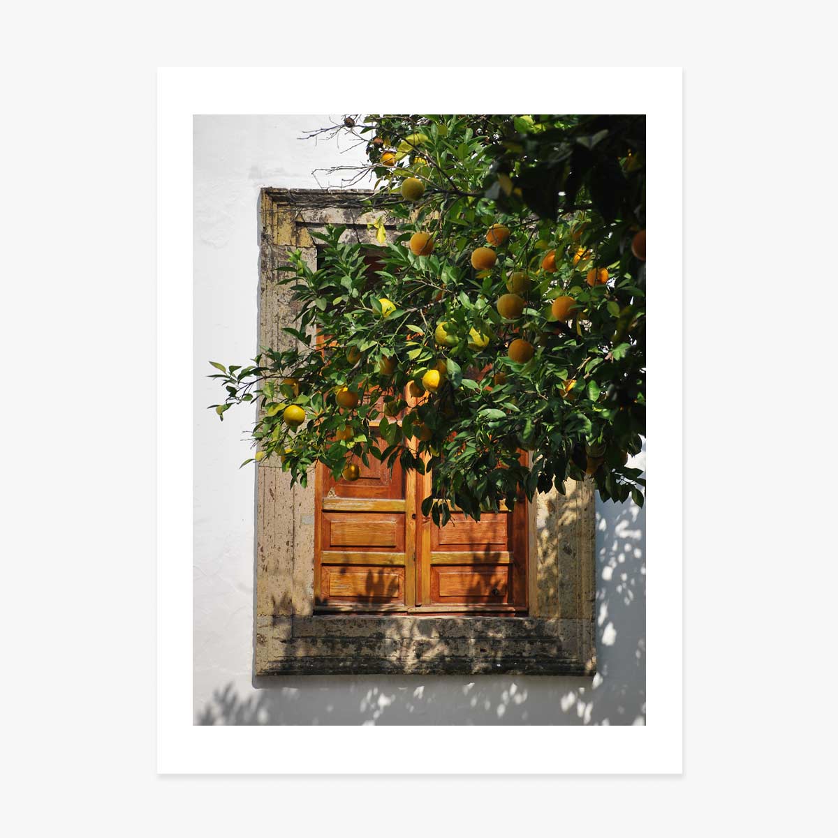 Poster „Orangenbaum“
