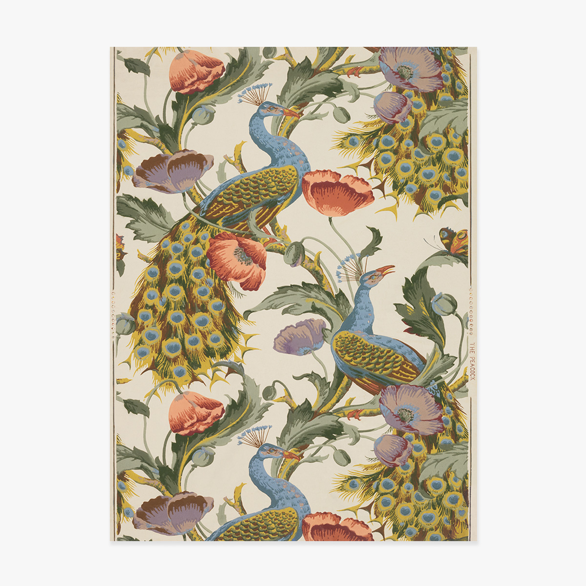 Vintage-Poster mit Pfauen und Mohnblumen