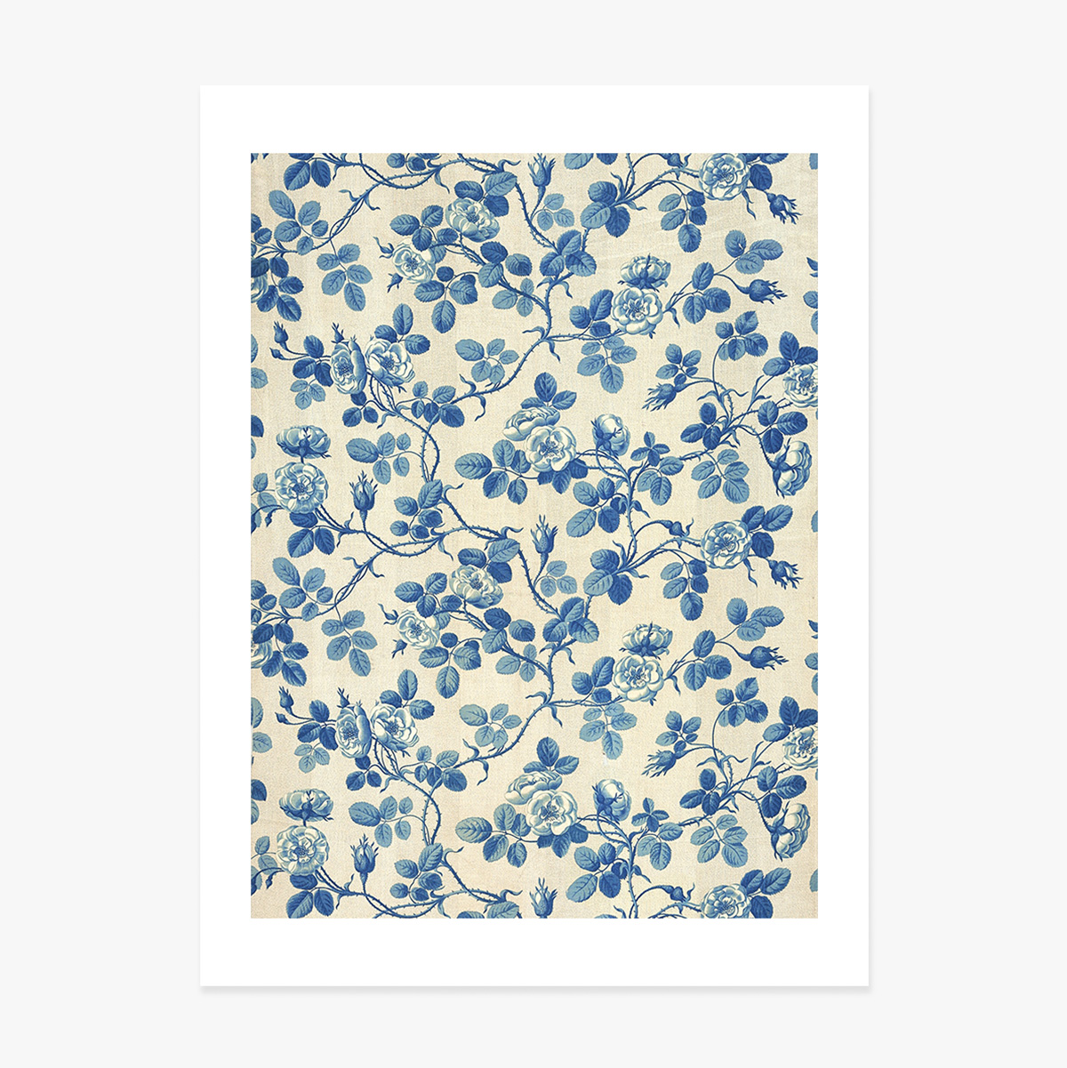 Poster „Blaue Pflanzen“