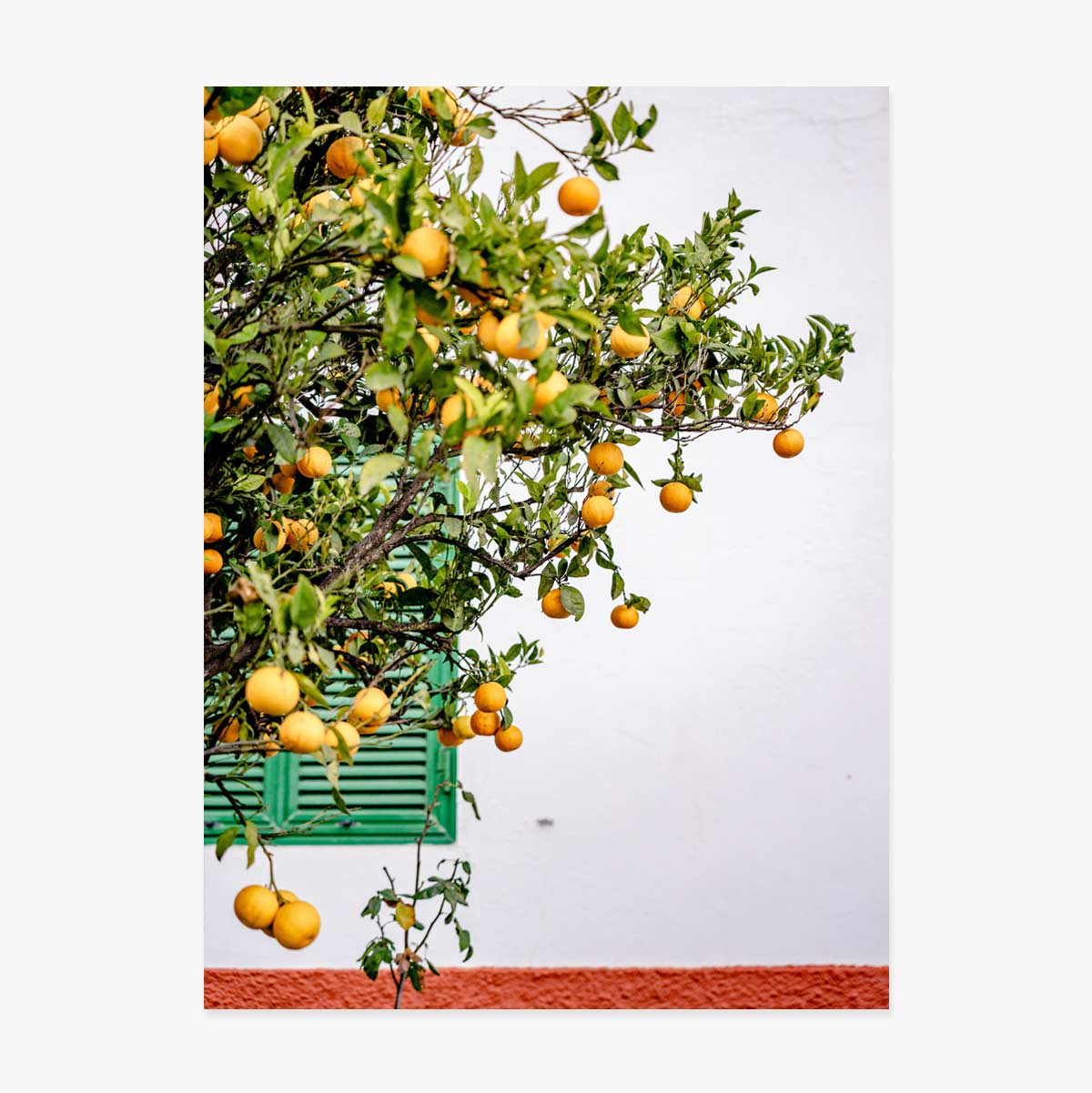 Poster „Tangerines“