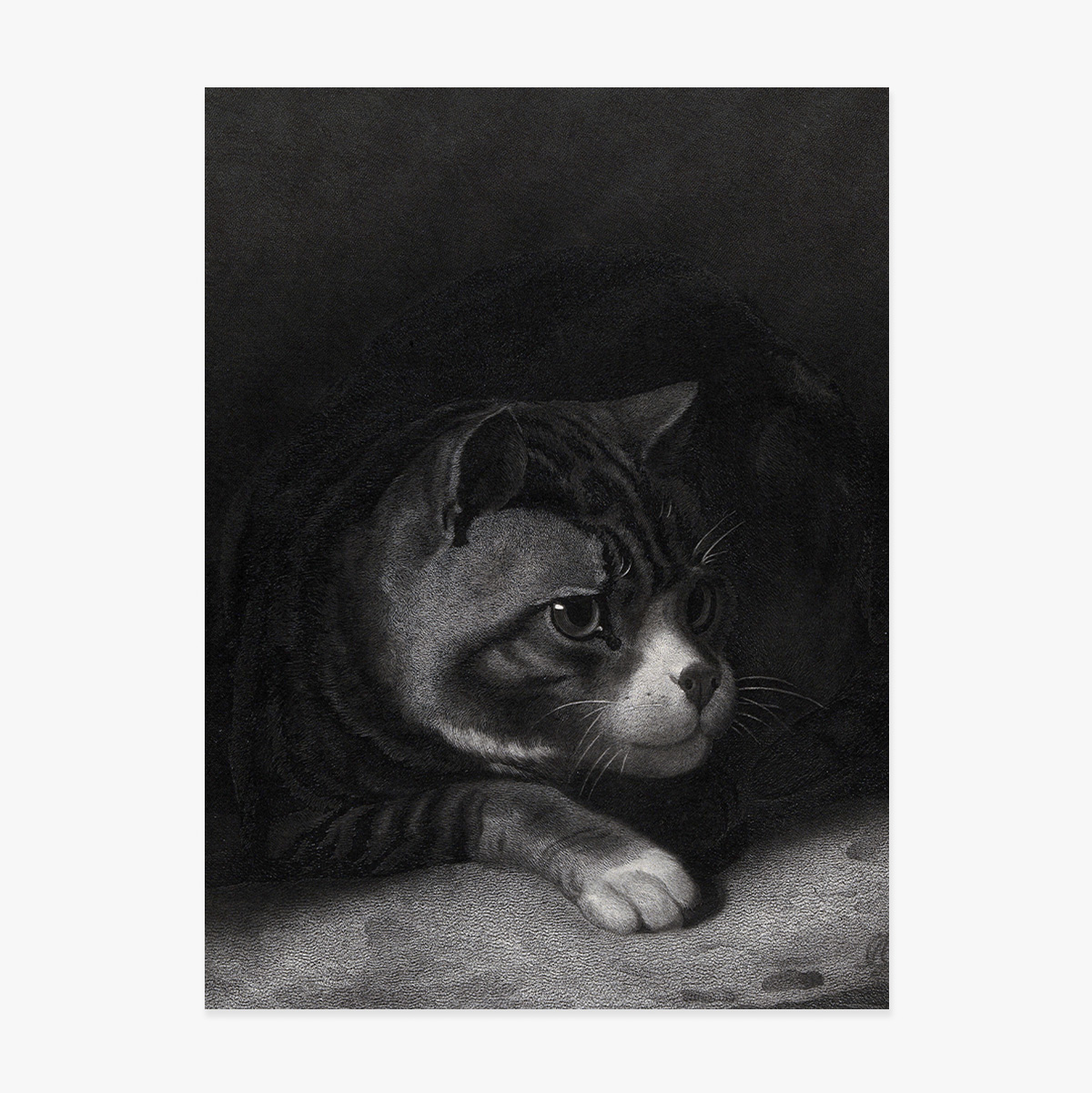 Poster von William Gil, „Die wachsame Katze, die durch die Schatten blickt“, 1855