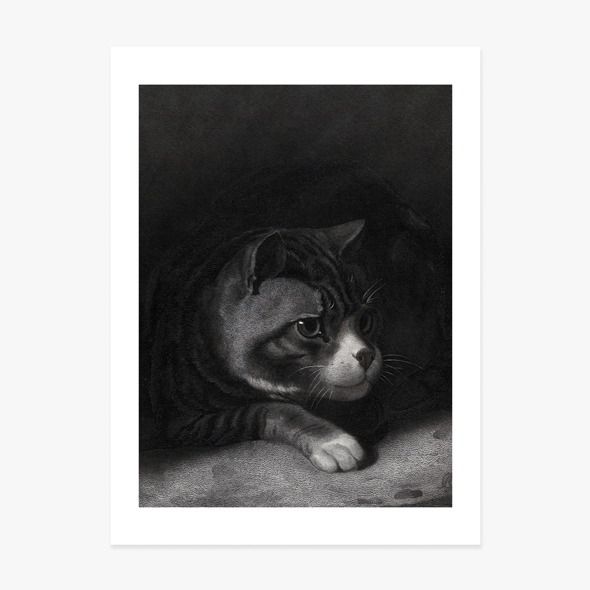 Poster von William Gil, „Die wachsame Katze, die durch die Schatten blickt“, 1855